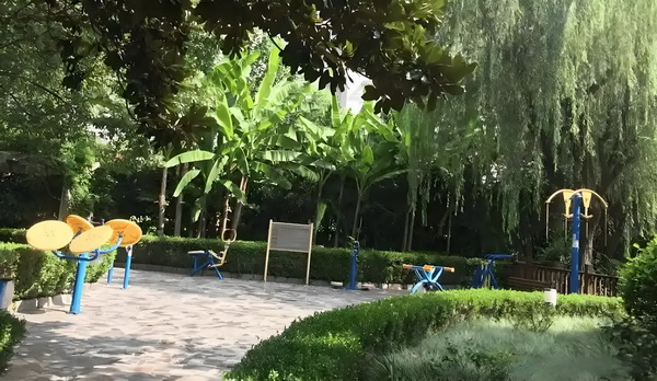 大陆转深圳户口_预售惨淡人气暴跌谁也救不了“狂妄自大”的那英 预售惨淡人在参观过程中